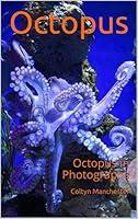 Algopix Similar Product 1 - Octopus: Octopus in Photographs