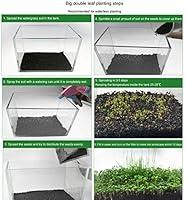 Algopix Similar Product 9 - Zafina 3 Pack Aquarium Plant Seeds