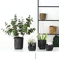 Algopix Similar Product 10 - CapsA Storage Bag Multifunction