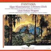 Algopix Similar Product 6 - Walt Disneys Fantasia Remastered