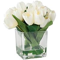 Algopix Similar Product 15 - Pure Garden 85 Tulip Floral Cream