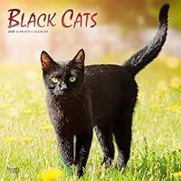 Algopix Similar Product 14 - Black Cats 2025 12 X 24 Inch Monthly