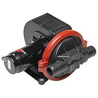 Algopix Similar Product 6 - Johnson Pumps 101337304 Viking Power