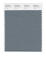 Algopix Similar Product 11 - PANTONE Smart 184510X Color Swatch