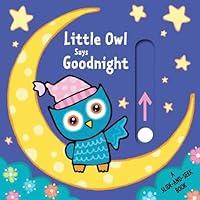 Algopix Similar Product 15 - Little Owl Says Goodnight A