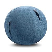 Algopix Similar Product 8 - Vivora Luno Exercise Ball Chair