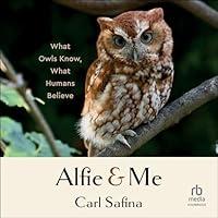 Algopix Similar Product 9 - Alfie and Me What Owls Know What