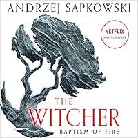 Algopix Similar Product 9 - Baptism of Fire: The Witcher, Book 3
