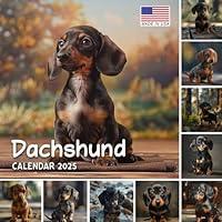 Algopix Similar Product 11 - Dachshund Calendar 2025 365 Days of