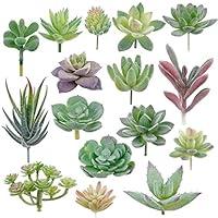 Algopix Similar Product 7 - 16 Pack Artificial Succulent Plants