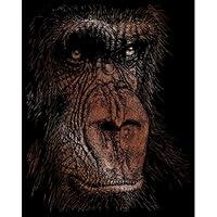 Algopix Similar Product 13 - ROYAL BRUSH Copper Foil Engraving Art