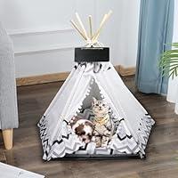 Algopix Similar Product 1 - GeerDuo Pet Teepee Portable Pet Tents