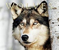 Algopix Similar Product 13 - Wolves 2017