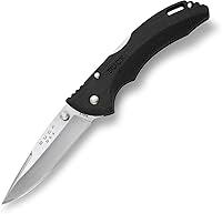 Algopix Similar Product 4 - Buck Knives 285 Bantam BLW Folding