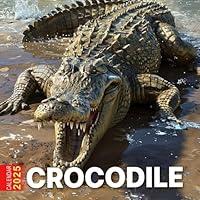 Algopix Similar Product 16 - Crocodile Calendar 2025 365 Days of