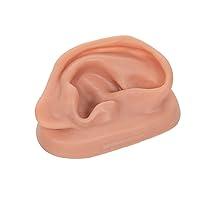 Algopix Similar Product 10 - 3B Scientific N151R SKINlike Silicone