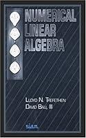 Algopix Similar Product 2 - Numerical Linear Algebra