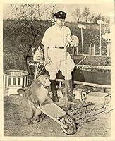 Algopix Similar Product 7 - George Weisensel - Photograph Signed