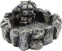 Algopix Similar Product 7 - BioBubble Origins Skeleton Dish Small