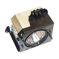 Algopix Similar Product 3 - Samsung BP96-00224C Projector TV Lamp