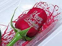 Algopix Similar Product 10 - Write a Rose Beautiful Red Rose with