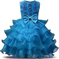 Algopix Similar Product 15 - NNJXD Girl Dress Kids Ruffles Lace