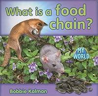 Algopix Similar Product 1 - What Is a Food Chain? (My World - Grl H)