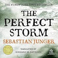 Algopix Similar Product 20 - The Perfect Storm A True Story of Men