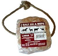Algopix Similar Product 5 - SWAMP Corporation Large 73 lb