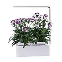 Algopix Similar Product 3 - Indoor Herb Garden AIBSI Hydroponics