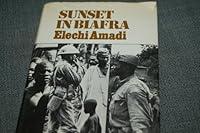 Algopix Similar Product 2 - Sunset in Biafra A civil war diary