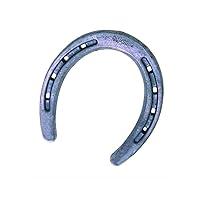 Algopix Similar Product 17 - Diamond Farrier DC00B Horseshoe 00