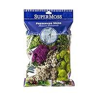 Algopix Similar Product 7 - SuperMoss Moss Mix Preserved