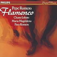 Algopix Similar Product 6 - Flamenco