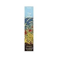 Algopix Similar Product 2 - Auroshikha Candles and Incense