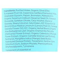 Algopix Similar Product 11 - EO FACIAL 2-IN-1 EXFOLIATOR/MASK 4 OZ.