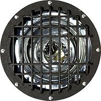 Algopix Similar Product 15 - Dabmar Lighting FG4380GRLMT