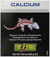 Algopix Similar Product 17 - Exo Terra Calcium Powder Ultra Fine