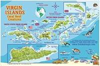 Algopix Similar Product 9 - Virgin Islands Map  Coral Reef