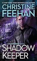 Algopix Similar Product 11 - Shadow Keeper A Shadow Riders Novel