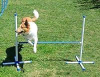 Algopix Similar Product 5 - Dog Training Jump  Agility equipment 