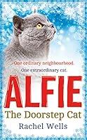 Algopix Similar Product 10 - Alfie the Doorstep Cat The Sunday