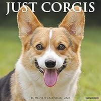 Algopix Similar Product 1 - Just Corgis 2020 Wall Calendar Dog