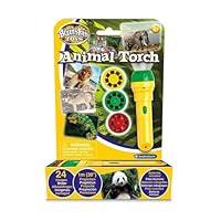 Algopix Similar Product 1 - Brainstorm Toys STEM Animal Torch and
