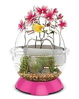 Algopix Similar Product 6 - BioBubble Tunnel Kit Fish Bowl, Pink