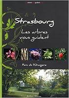 Algopix Similar Product 3 - Strasbourg  Les arbres vous guident