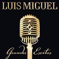 Algopix Similar Product 17 - Grandes Exitos- US cd version