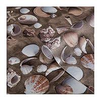 Algopix Similar Product 15 - DC Fix 3431010 Sea Shell Adhesive