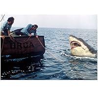 Algopix Similar Product 9 - Jaws 1975 8 Inch x 10 Inch Photo