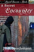 Algopix Similar Product 14 - A Secret Encounter Amish Secrets 